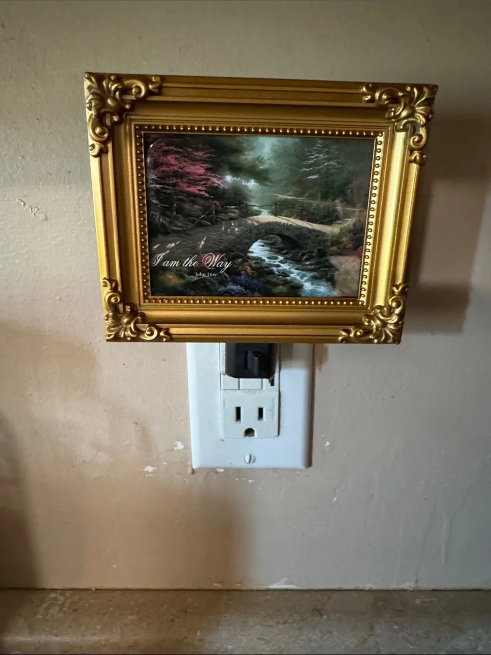 Thomas Kinkade Painter Of Light Night Light